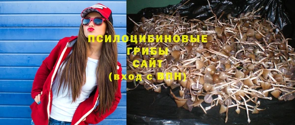 хмурый Кинешма